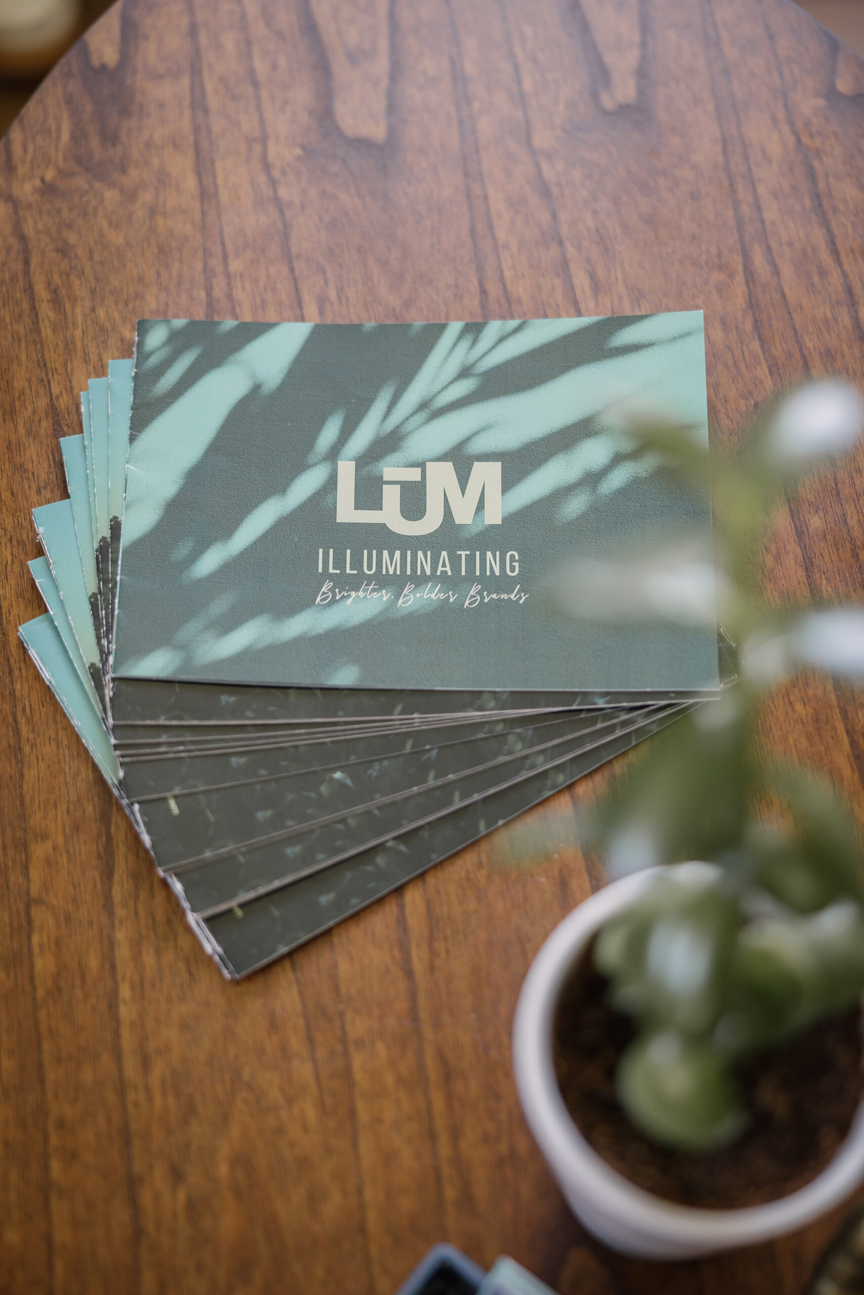 LŪM Studio print materials