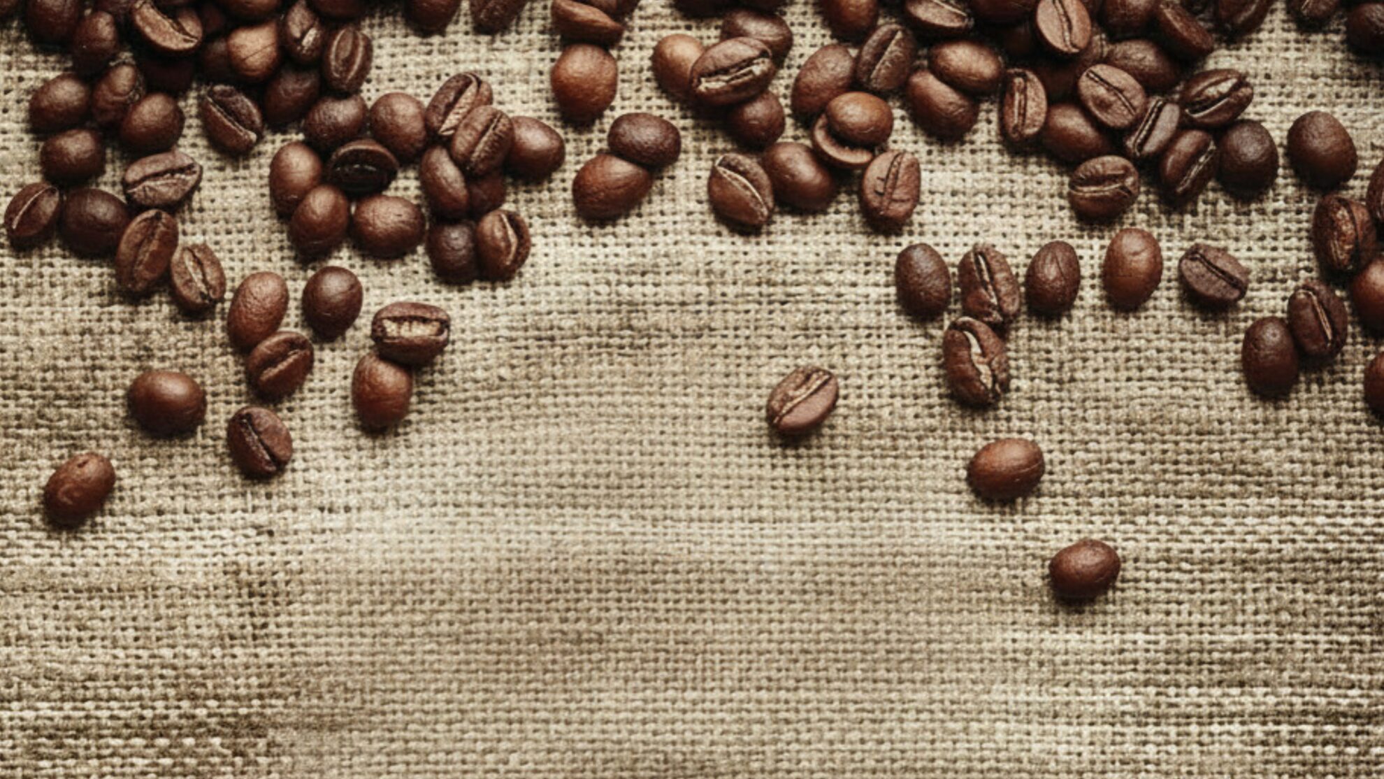 Blue Ridge Coffee 1 Blue Ridge Coffee — brand overview